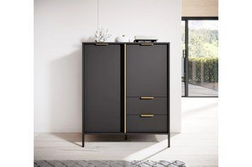 Комод високий Lars 2-дверний з 2 шухлядами Антрацит 2D2S/104 Антрацит фото